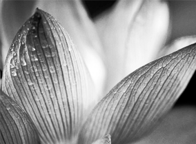 泡泡短信压力测试官网